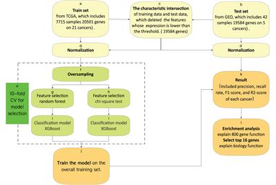 A Novel XGBoost Method to Infer the Primary Lesion of 20 Solid Tumor Types From Gene Expression Data